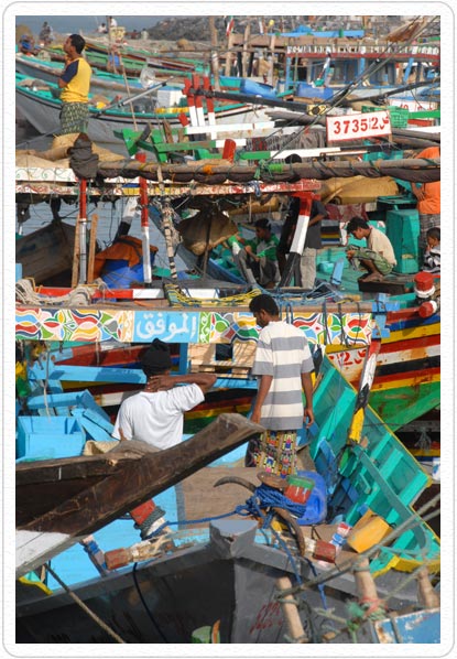 hodeidah fish market